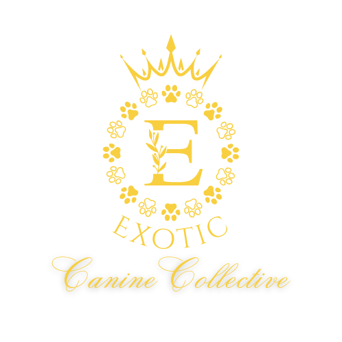 Exotic Canine Collective